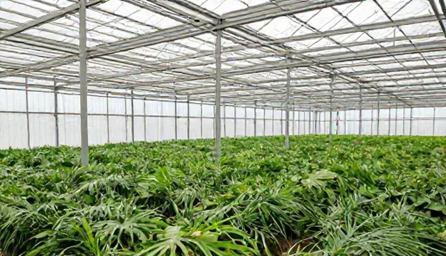 技术推广中的性能评估与适用条件检查要点